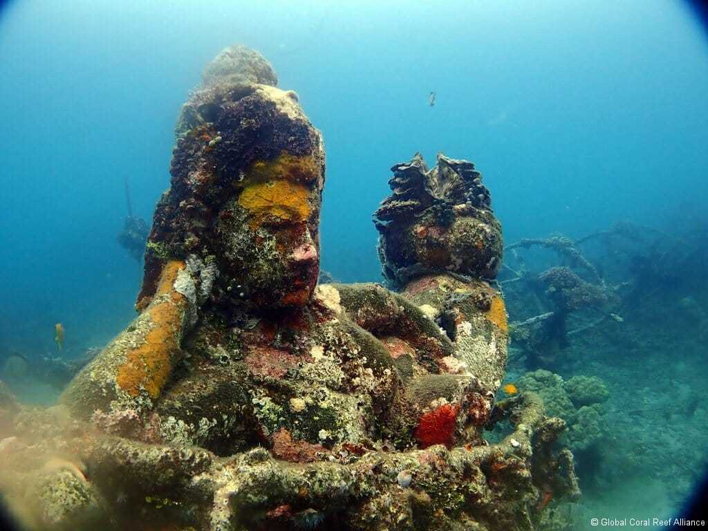 Biorock Arks Save Corals From Bleaching When Fragmented Corals Die Of 