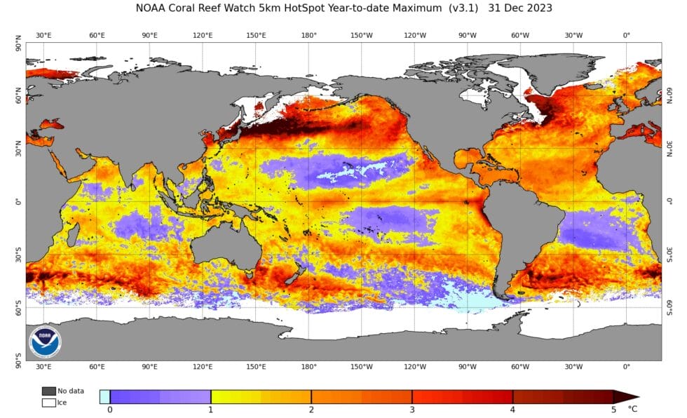 2023 record marine heat waves: Coral Bleaching HotSpot maps reveal ...