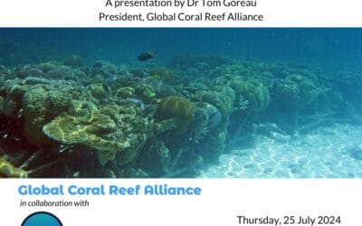 In honour of Maizan Hassan Maniku:  Maldives coral reefs: past, present, and a sustainable Blue future